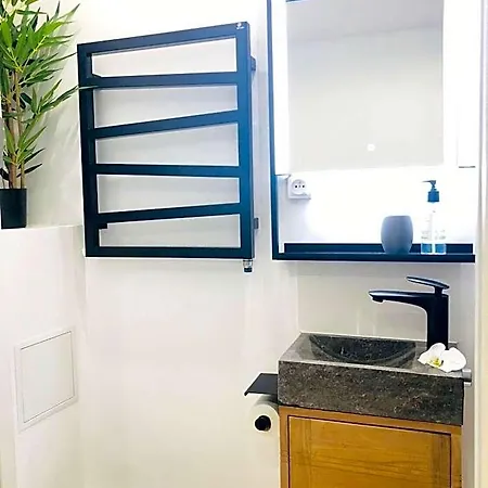 Le Cocon Vert Elysee / Studio 18M2 - 3 Min Des Champs - Elysees & Metro